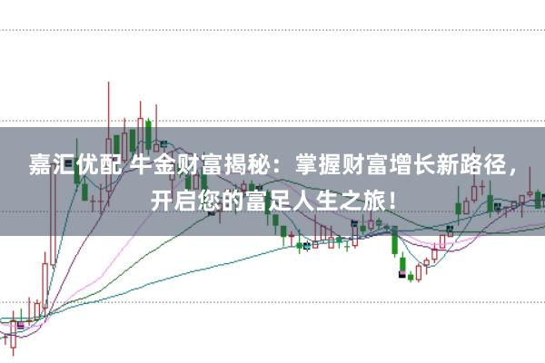 嘉汇优配 牛金财富揭秘：掌握财富增长新路径，开启您的富足人生之旅！