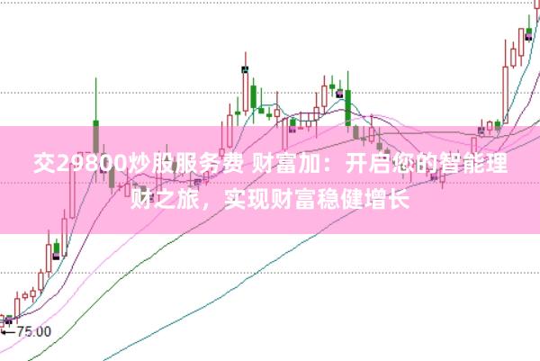 交29800炒股服务费 财富加:开启您的智能理财之旅,实现财富稳健增长